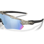Radar EV Path - Matte Grey Ink Frame / Prizm Deep Water Polar